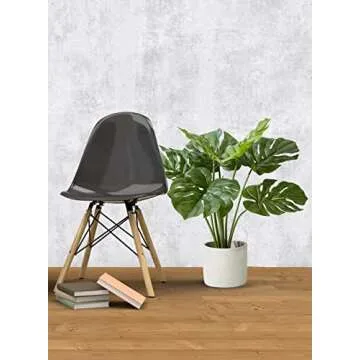 Realistic Monstera Plant in Cement Pot for Indoor Decor
