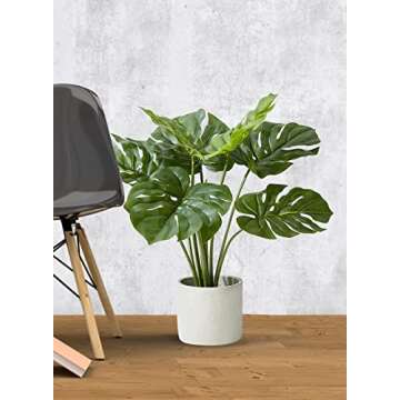 Realistic Monstera Plant in Cement Pot for Indoor Decor