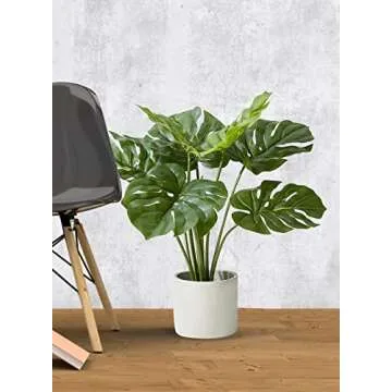 Realistic Monstera Plant in Cement Pot for Indoor Decor
