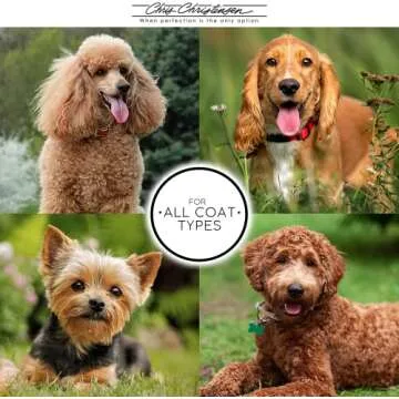 Chris Christensen Karben II Slicker Brush for Dogs, Groom Like a Professional, Ideal For All Coat Types, Remove Shedding Coat, Tangles and Dead Undercoat, 17 mm Stainless Steel Pins, Small