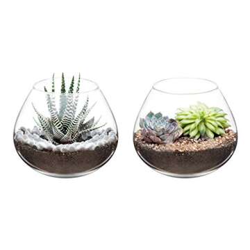 Mkono Air Plant Terrarium Clear Glass Planter Tabletop Display Vase Pot Indoor Decor for Succulent, ...