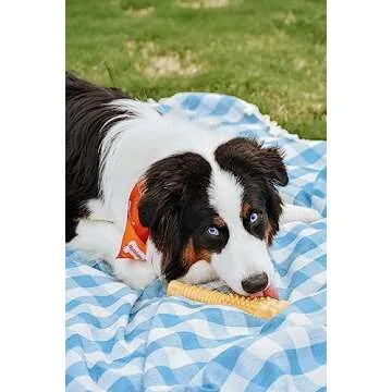 Nylabone Textured Knuckle Bone Power Chew Toy for Dogs, Durable & Tough Dog Toys for Aggressive Chewers, Peanut Butter Flavor, X-Large - Over 50 Ibs, 1 Count