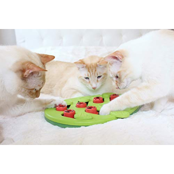 Interactive Cat Treat Puzzle by Catstages - Buggin' Out