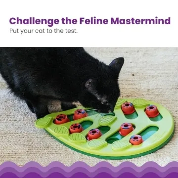 Interactive Cat Treat Puzzle by Catstages - Buggin' Out