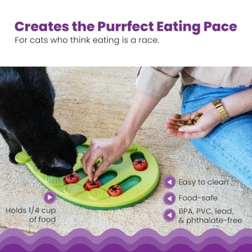Interactive Cat Treat Puzzle by Catstages - Buggin' Out
