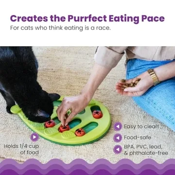 Interactive Cat Treat Puzzle by Catstages - Buggin' Out