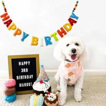 Meygajoe Pre-Strung Happy Birthday Banner - Rainbow Happy Birthday Garland - Natural Handmade Wool Letters & Balls, Reusable Birthday Party Decorations & Party Supplies,Ready-to-Hang - 6Ft