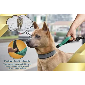 Hands Free Dog Leash for Medium and Large Breeds