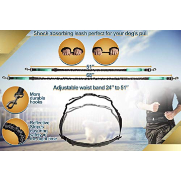 Hands Free Dog Leash for Medium and Large Breeds