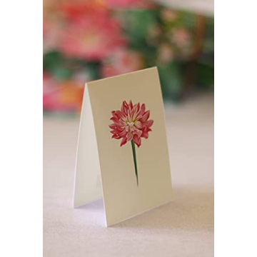 Freshcut Paper Pop Up Cards - Beautiful Flower Bouquets