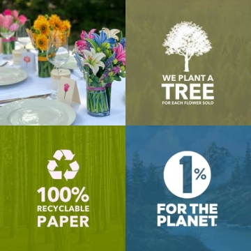 Freshcut Paper Pop Up Cards - Beautiful Flower Bouquets