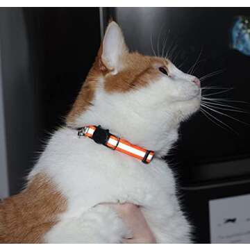Reflective Cat Collar with Bell, Set of 6, Solid & Safe Collars for Cats, Nylon, Mixed Colors, Pet C...