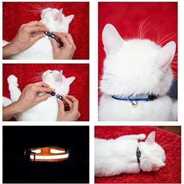 Reflective Cat Collars with Bells - Safe Set of 6