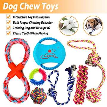 Lobeve Dog Toys Gift Set,Variety No Stuffing Squeaky Plush Toy and Rope Chew Toys for Medium to Small Doggie