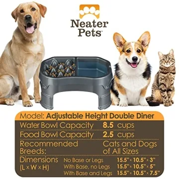 Neater Raised Slow Feeder Dog Bowl for Healthy Eating