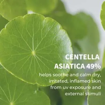 IUNIK Centella Calming Moisture Daily Sunscreen SPF 50+ PA++++ Matte & No White Cast Centella Asiatica Dry Oily Sensitive Vegan Korean Skincare - Pack of 2