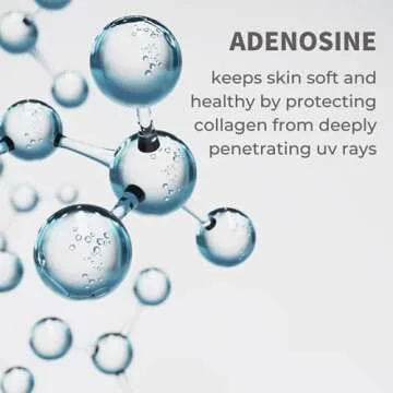 IUNIK Centella Calming Moisture Daily Sunscreen SPF 50+ PA++++ Matte & No White Cast Centella Asiatica Dry Oily Sensitive Vegan Korean Skincare - Pack of 2