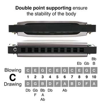 Harmonica for Kids and Adults, Beginners Blues Harmonica Mouth Organ in the Key of C, 10 Holes 20 Notes Diatonic Harp Musical Instrument by SMALL FISH, Easter Basket Stuffers, Birthday Gifts