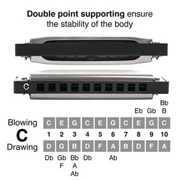 Harmonica for Kids and Adults, Beginners Blues Harmonica Mouth Organ in the Key of C, 10 Holes 20 Notes Diatonic Harp Musical Instrument by SMALL FISH, Easter Basket Stuffers, Birthday Gifts