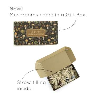 Mushroom Toys Wooden Toys Woodland Kids Toys Garden Figurine Fungi Mushroom Table Decor Set of 12