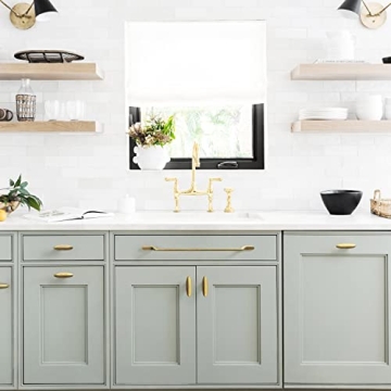 Goo-Ki Antique Brass Oval Drawer Knobs - Vintage Bronze Handles