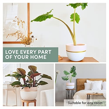 OMYSA Large 12 Inch Indoor Planter - Modern Design & Quality