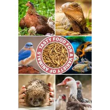 Dried Mealworms for Chickens, Mealworms for Wild Birds and Chicken Feed, High Protein Chicken Treats for Laying Hens, Hamsters, Great for Reptiles, Frogs, Birds, Tropical Fish, Hamsters, Hedgehogs