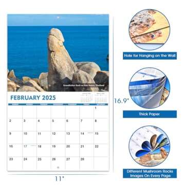 Funny 2025 Wall Calendar with Thick Paper and Humor