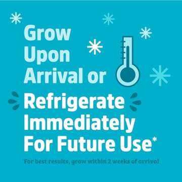 Back to the Roots Organic Shiitake Mushroom Kit; Great Gift; Easy for Beginners, For Indoor Growing (Start Growing Right Away)