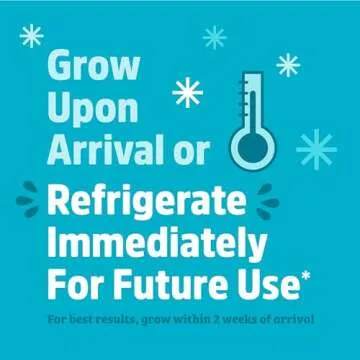 Fun Shiitake Mushroom Growing Kit for Kids | Hands-On Learning