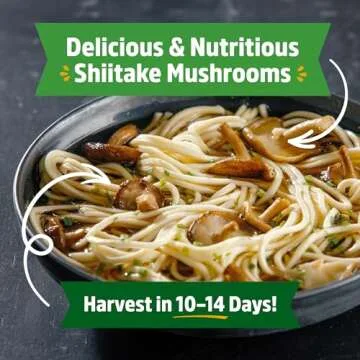 Fun Shiitake Mushroom Growing Kit for Kids | Hands-On Learning