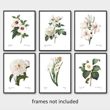 White Flower Art, French Botanical Prints - Vintage Floral Decor, Summer Wall Art, Hibiscus, Redoute...