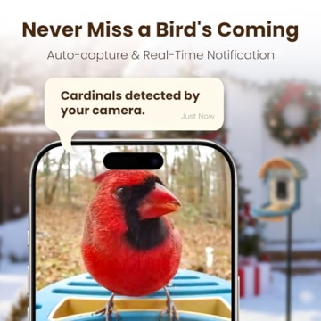 Smart Bird Feeder Camera with AI and 2.5K Video