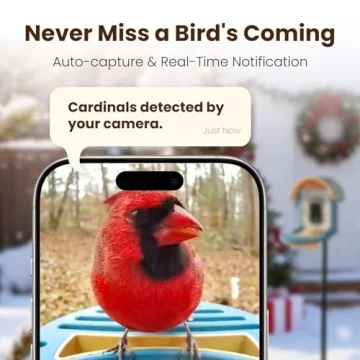 Smart Bird Feeder Camera with AI and 2.5K Video