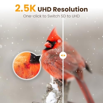 Smart Bird Feeder Camera with AI and 2.5K Video