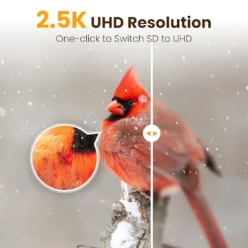 Smart Bird Feeder Camera with AI and 2.5K Video