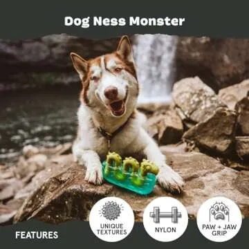 Barkbox Dogness Monster Chew Toy for Aggressive Chewers