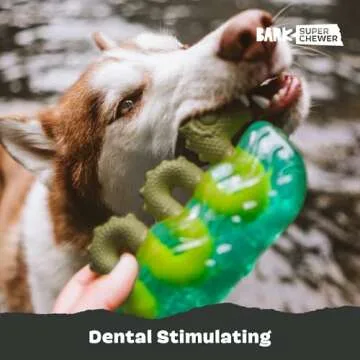 Barkbox Dogness Monster Chew Toy for Aggressive Chewers