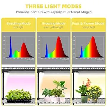 Bstrip Plant Shelf with Grow Lights for Indoor Plants