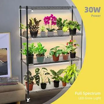 Bstrip Plant Shelf with Grow Lights for Indoor Plants
