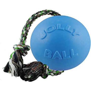 Durable Jolly Pets Romp-n-Roll Dog Toy for Medium Dogs