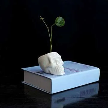 BinaryABC Halloween White Ceramic Skull Succulent Planter Pots,Skull Mini Flower Plant Pot,Halloween Home Office Desk Ornament Décor