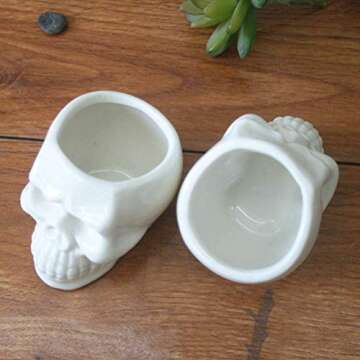 BinaryABC Halloween White Ceramic Skull Succulent Planter Pots,Skull Mini Flower Plant Pot,Halloween Home Office Desk Ornament Décor