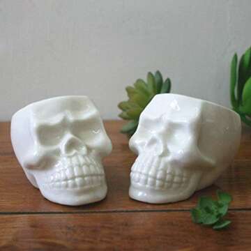 BinaryABC Halloween White Ceramic Skull Succulent Planter Pots,Skull Mini Flower Plant Pot,Halloween Home Office Desk Ornament Décor