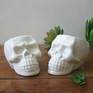 BinaryABC Halloween White Ceramic Skull Succulent Planter Pots,Skull Mini Flower Plant Pot,Halloween Home Office Desk Ornament Décor