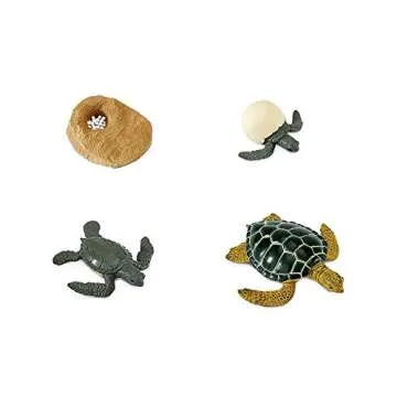 Safari Ltd. Life Cycle of a Green Sea Turtle - Educational Toy Figurines - Miniature Turtle Lifecycl...