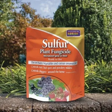 Bonide Sulfur Fungicide for Organic Gardening Solutions