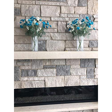 Elegant Glass Cylinder Vase for Stunning Floral Displays