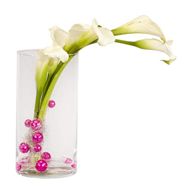 Elegant Glass Cylinder Vase for Stunning Floral Displays