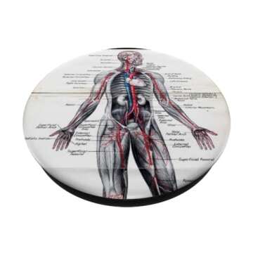 Medical Nursing Student Anatomy Chart PopSockets PopGrip: Swappable Grip for Phones & Tablets PopSoc...